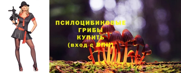 индика Беломорск