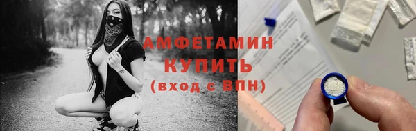 сатива Сосновый Бор