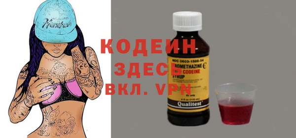 индика Беломорск