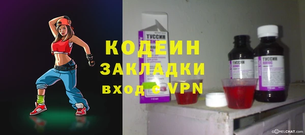 индика Беломорск