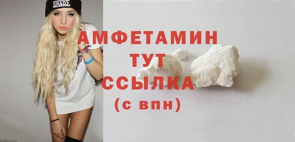 индика Беломорск