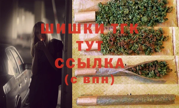 индика Беломорск