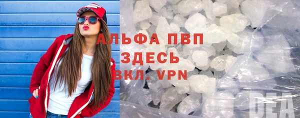 индика Беломорск